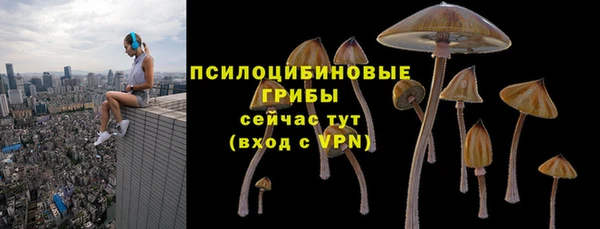 героин Рославль