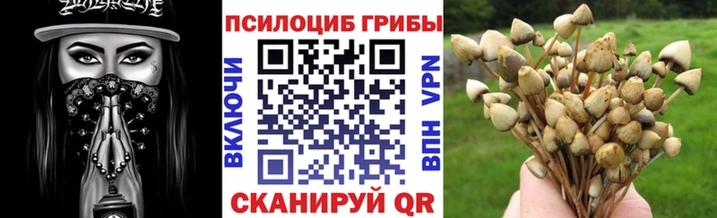 Псилоцибиновые грибы MAGIC MUSHROOMS продажа наркотиков Покачи